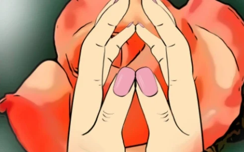 Zwei Hände in einer Fingergeste vor einer Rose